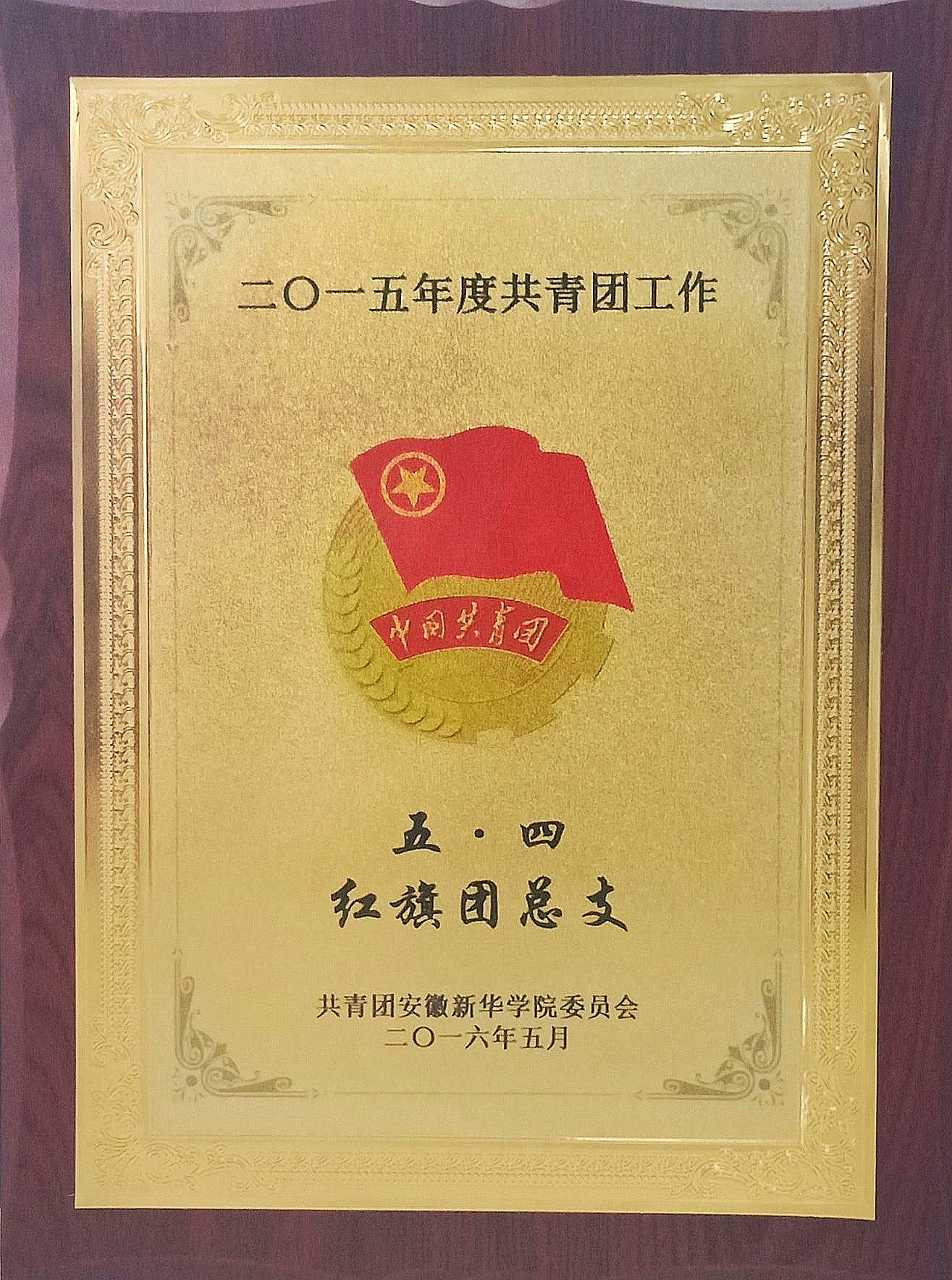 五四红旗团支书